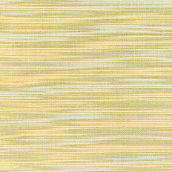 Dupione Maize